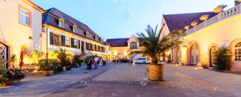 Palais Schloss Wachenheim