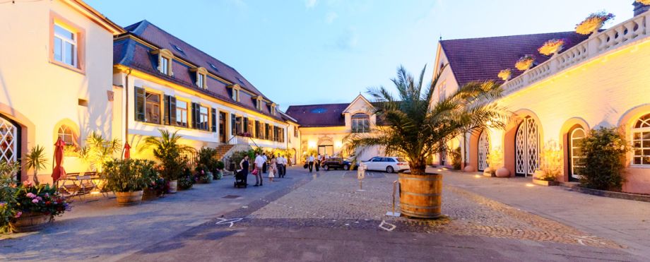 Palais Schloss Wachenheim