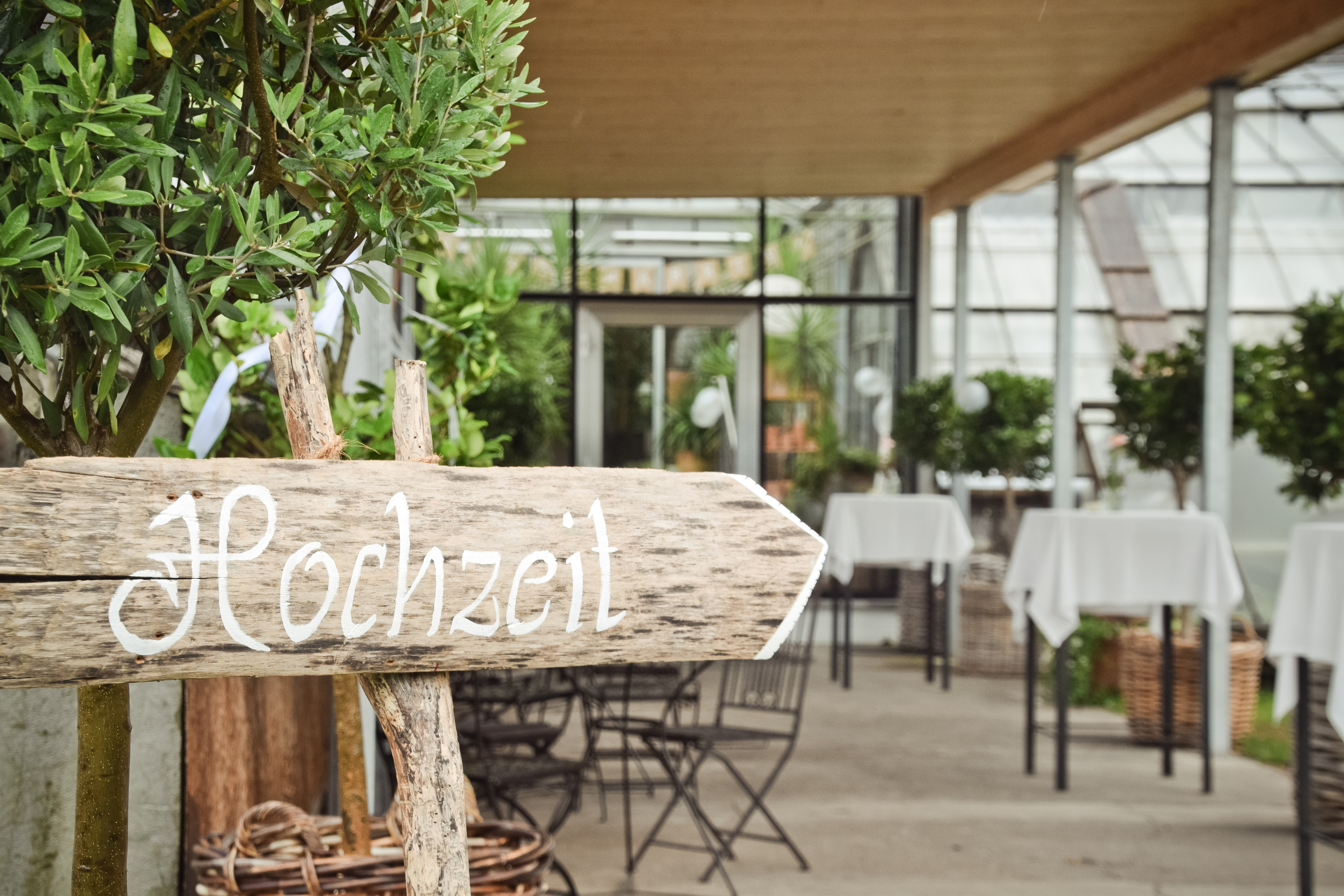 Blumen Kopf - 1er Hus Blumen Kopf - 1er Hus