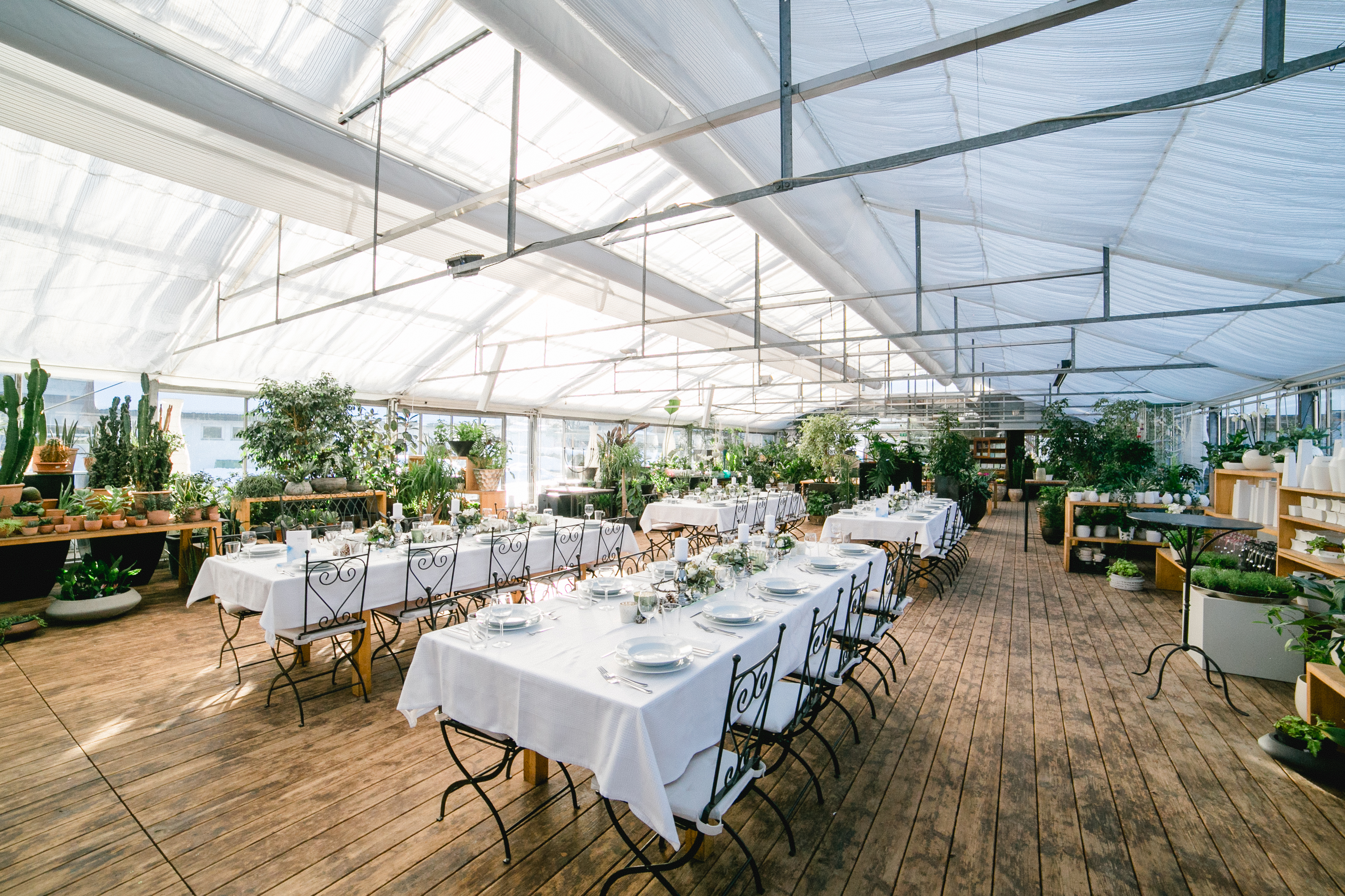 Blumen Kopf - 1er Hus Blumen Kopf - 1er Hus
