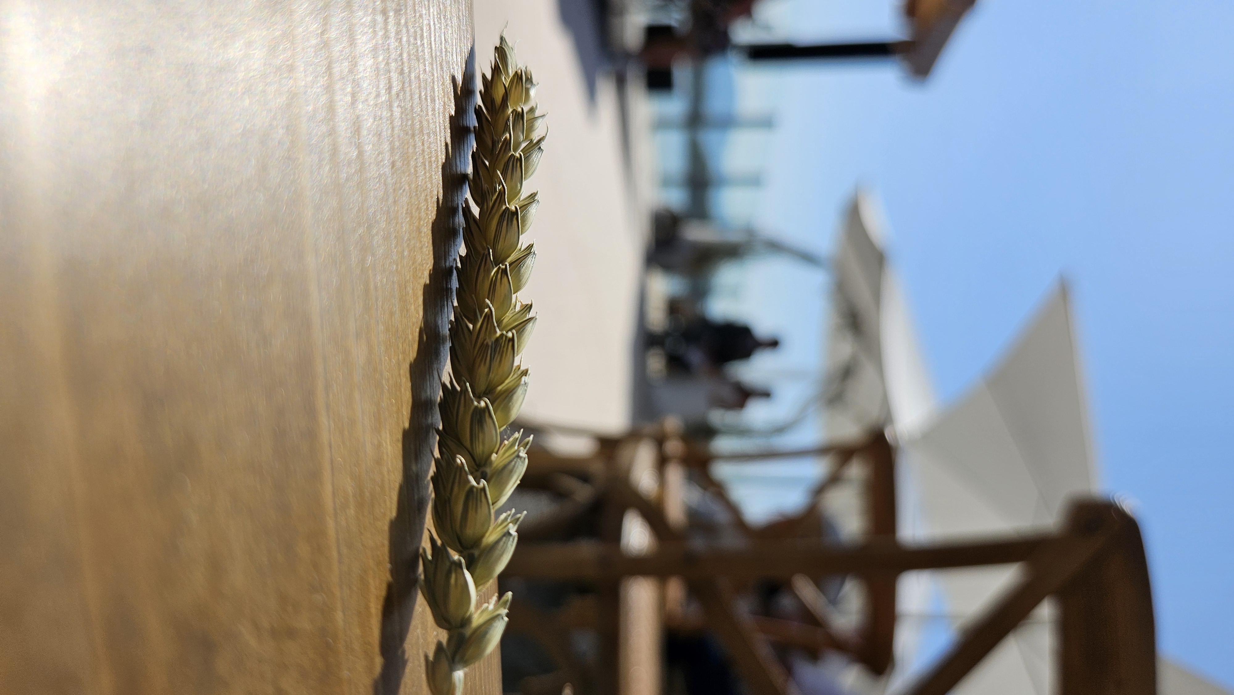 HeavenSeven Strandhaus am Bodenseeufer HeavenSeven Strandhaus am Bodenseeufer