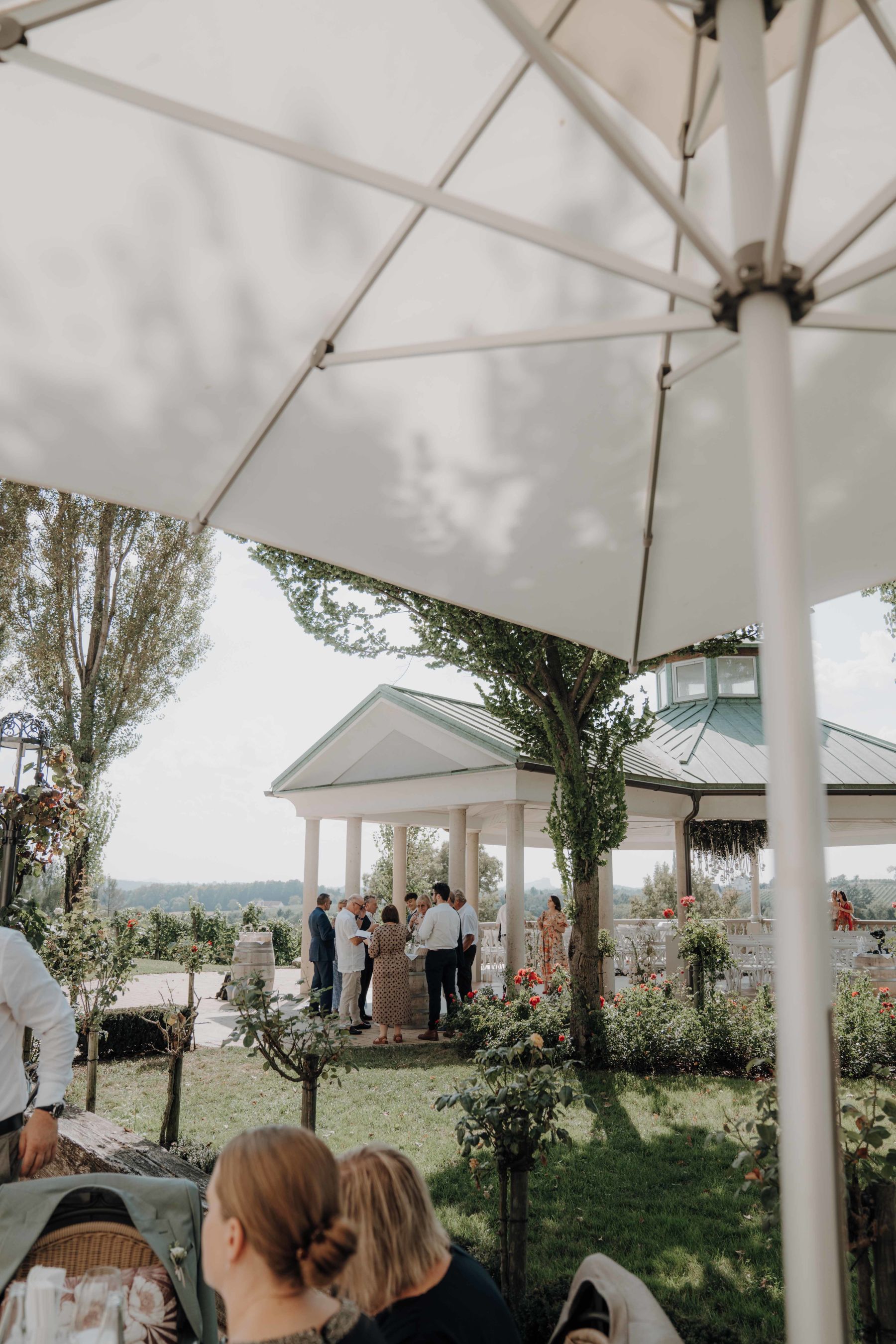 Weingartenterrasse vom Weinschloss Thaller im Vulkanland Steiermark