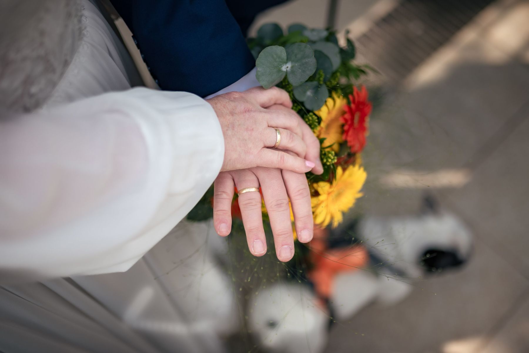Detailaufnahme der Ringe an der Hand
