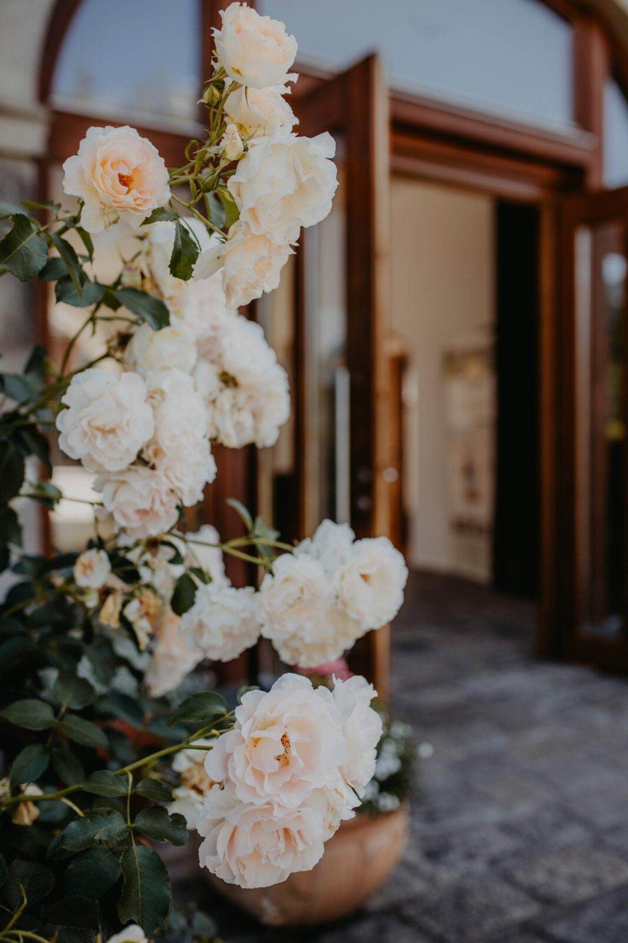 Freie Termine im Mai 2026