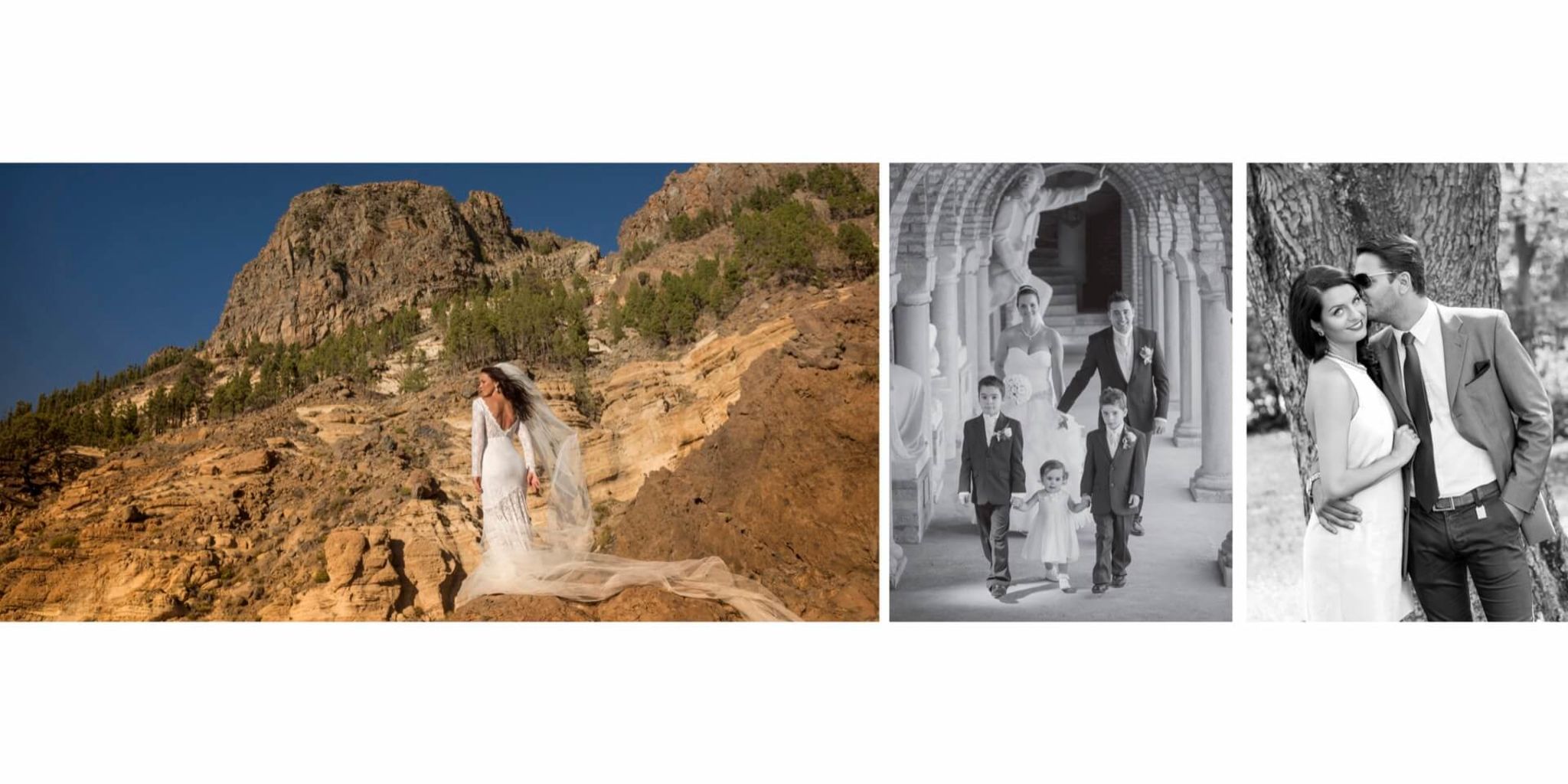 Die Goldene Stunde  (Das Premium-Paket) Hochzeitsfoto, 8-9 Stunden Begleitung