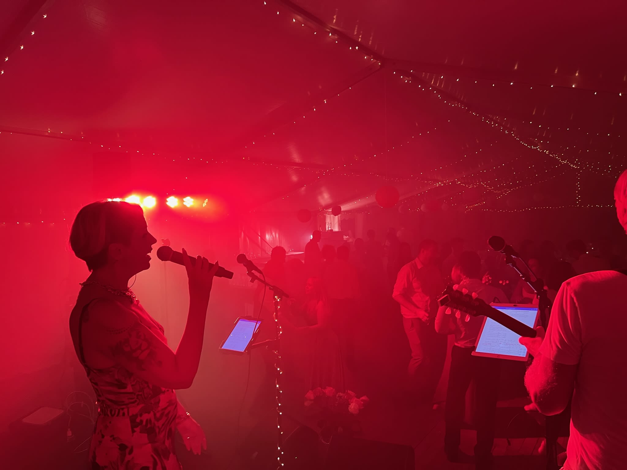 HOCHZEITSBAND – PARTYBAND – TANZBAND MIT SÄNGERIN AUS OBERÖSTERREICH 