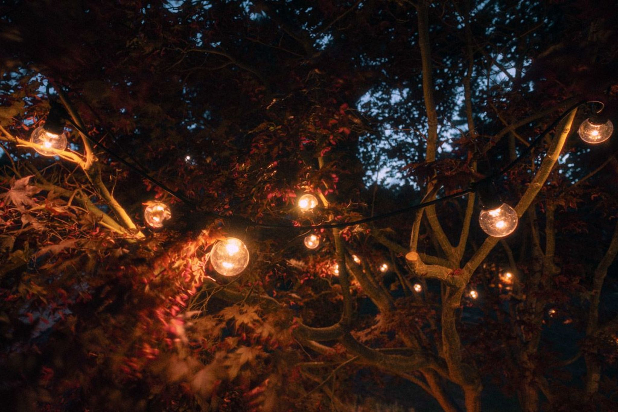 Professionelle Lichterkette mit Bulbs mieten