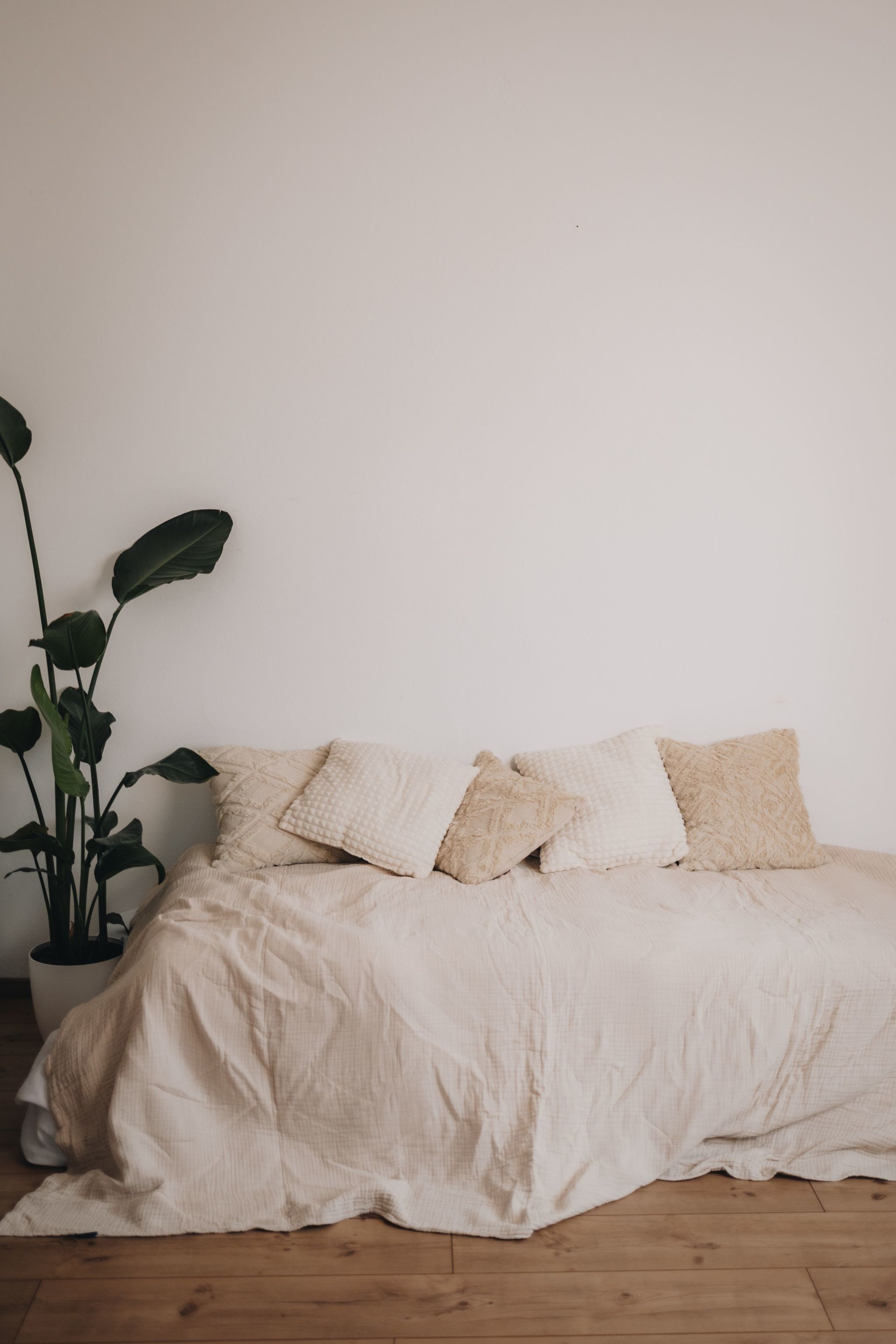 cozy couple moments