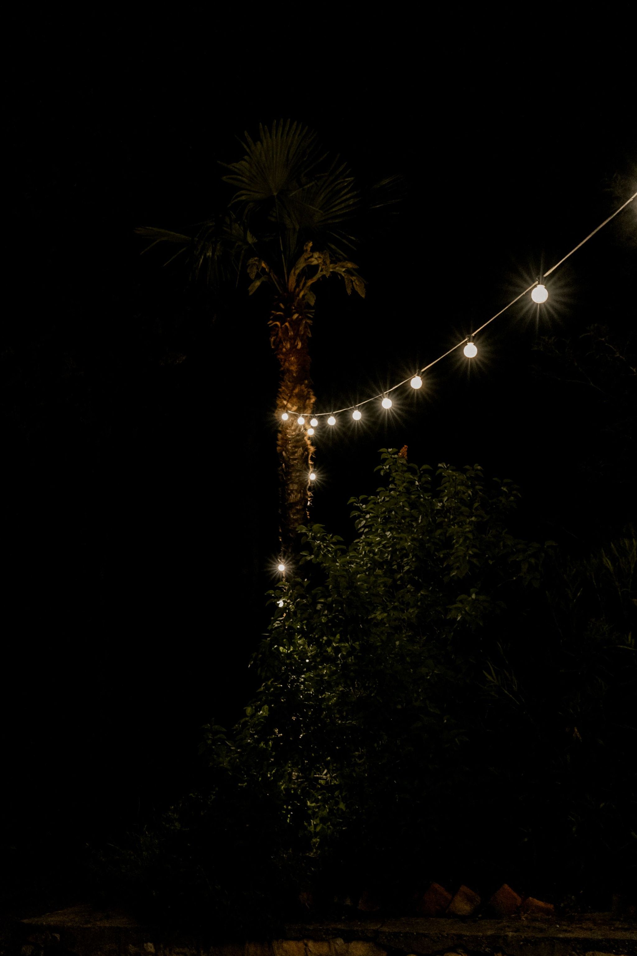 Lichterkette 30m / 60m / 120m - ab 15,- €