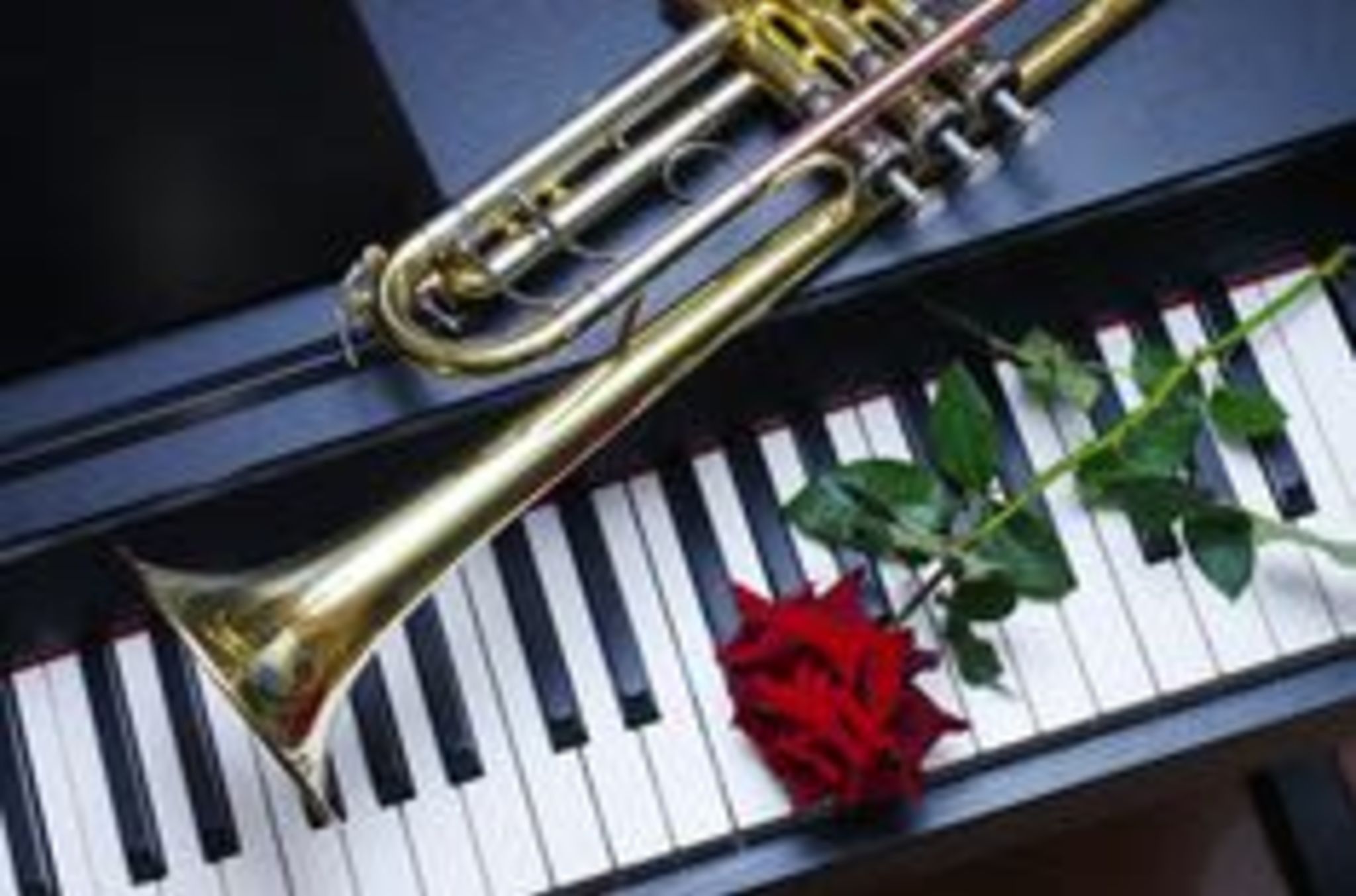 Duo für Trauung Standesamt oder Kirche