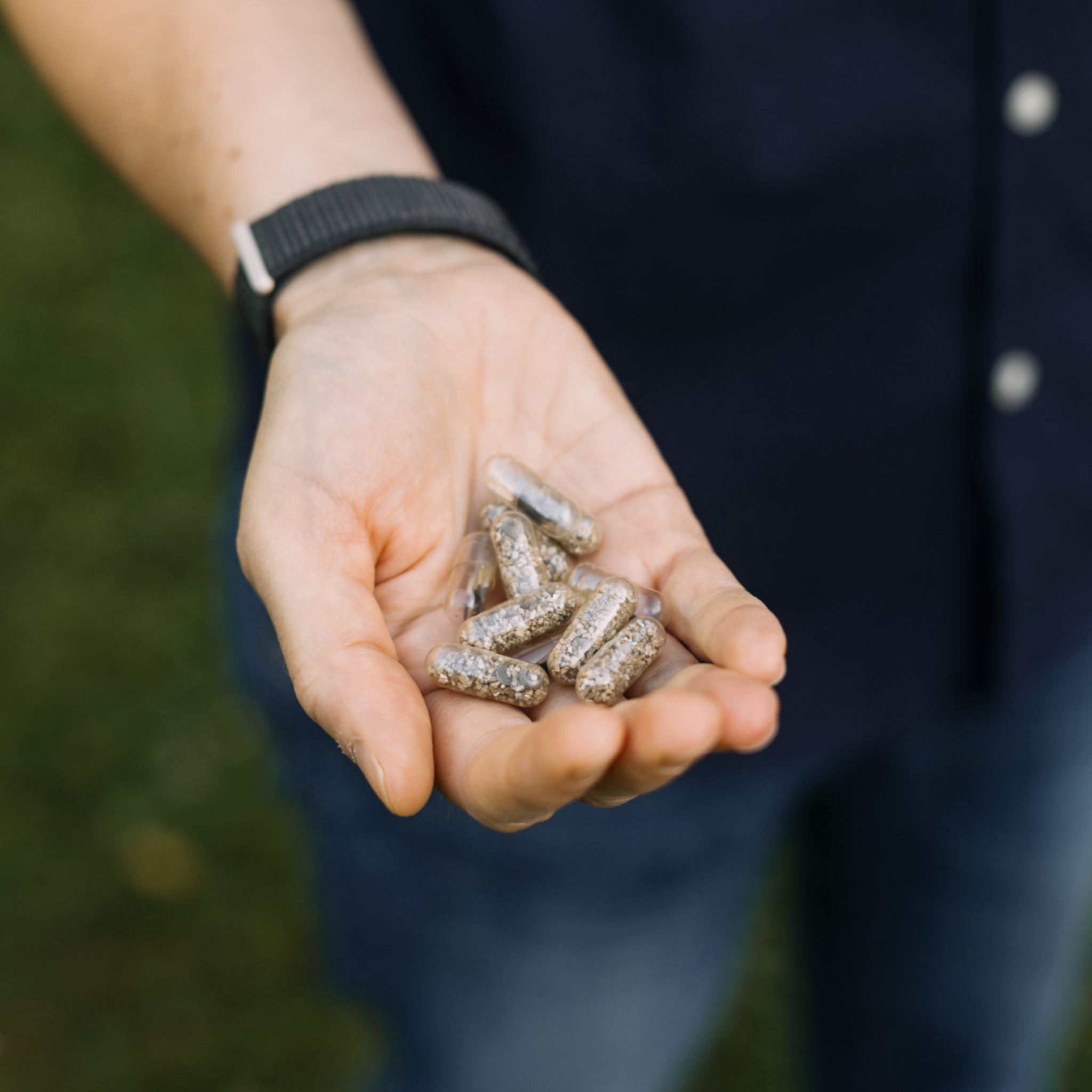 Liebe säen mit Saatgut-Kapseln. Gastgeschenk für 51-100 Gäste