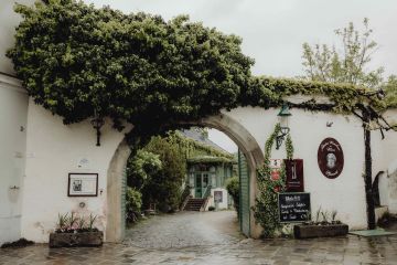 Lässige & herzerwärmende Hochzeit trotz Regen in Wien
