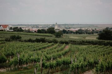 Hochzeitsreportage in Burgenland: Gut Oggau