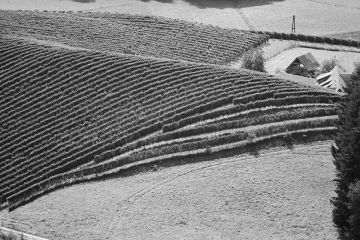 Hochzeitsreportage in Steiermark: Harkamp