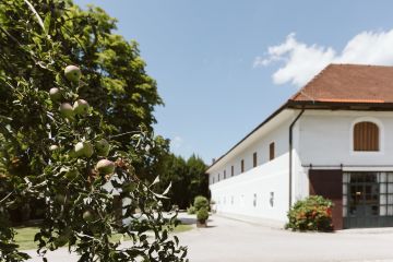 Wiesenblumen-Sommerhochzeit beim Moar in Grünbach, Oberösterreich