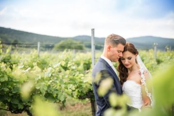 Hochzeitsreportage in Niederösterreich: Weingut Schlossberg
