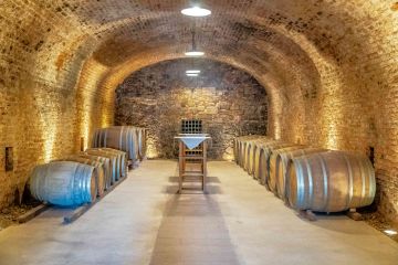 Wunderschöne Hochzeit im Freigut Thallern - Weingut und Stiftskellerei Heiligenkreuz