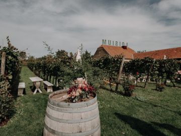 Boho-Hochzeitsreportage im Weingarten Bründlmayer