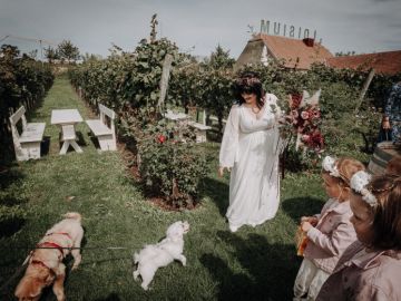 Boho-Hochzeitsreportage im Weingarten Bründlmayer