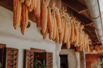 Romantische Hochzeit im Freilichtmuseum Gerersdorf