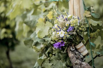 Hochzeitsreportage in Niederösterreich: Weingut Zimmermann