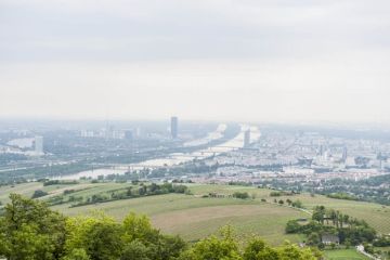 Hochzeitsreportage in Wien: Kahlenberg