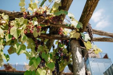 Hochzeitsreportage in Steiermark: Harkamp