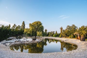 Hochzeitsreportage in Burgenland: Arche Moorhof/ Irene Clayton Eventmanagement