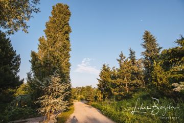 Hochzeitsreportage in Burgenland: Arche Moorhof/ Irene Clayton Eventmanagement