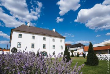 Hochzeitsreportage in Niederösterreich: Schloss Raggendorf