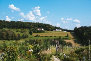 Hochzeitsreportage in Burgenland: Die Träumerei in Maria Bild