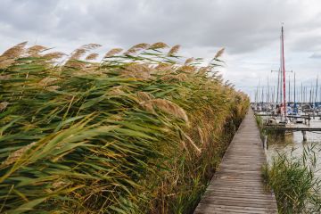 Herbstliche Hochzeit am Neusiedler See