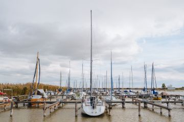 Herbstliche Hochzeit am Neusiedler See