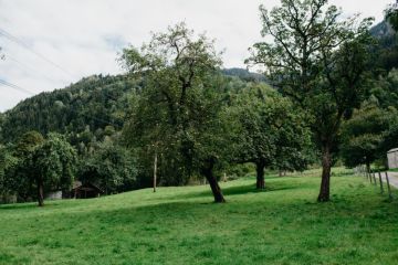 Hochzeitsreportage in Oberösterreich: Schloss Kammer