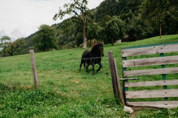Hochzeitsreportage in Oberösterreich: Schloss Kammer