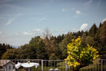 Traumhochzeit im Hotel Alpenblick: Sommerliche Liebe mit Live Musik