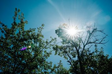 Hochzeitsreportage von Christian Biemann | infinite-moments photography