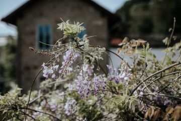 Hochzeitsreportage in Niederösterreich: Refugium Hochstrass