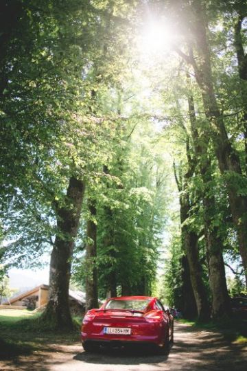 Lockere Gartenhochzeit im Schloss Altenhof