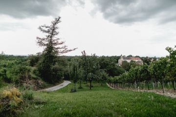 Hochzeitsreportage in Niederösterreich: Gut Oberstockstall