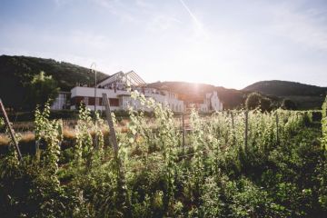 Hochzeitsreportage in Niederösterreich: Weingut Schlossberg