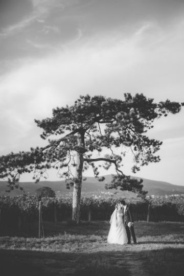 Hochzeitsreportage in Niederösterreich: Weingut Schlossberg