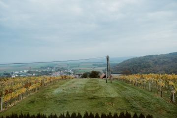 Hochzeitsreportage in Burgenland: Hannersberg
