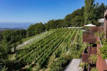 Hochzeitsreportage in Steiermark: Harkamp