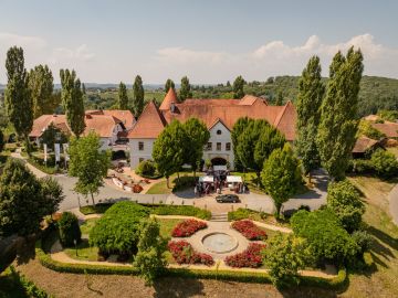 Hochzeit von Viviana & Philipp im Weinschloss Thaller