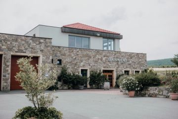 Hochzeitsreportage in Niederösterreich: Weingut Bannert