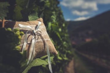 Hochzeitsreportage in Niederösterreich: Weingut Holzapfel