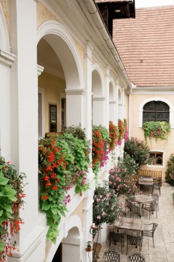 Hochzeitsreportage in Niederösterreich: Weingut Holzapfel
