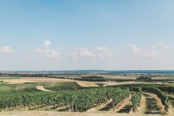 Hochzeitsreportage von Wedding Memories