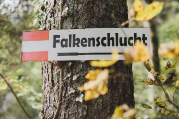 Herbstliche Outdoor Hochzeit in der Falkenschlucht